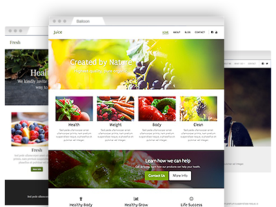 An array of easy to re–design website templates